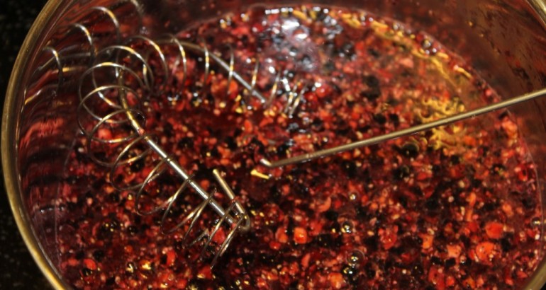 Solbær saus /sirup