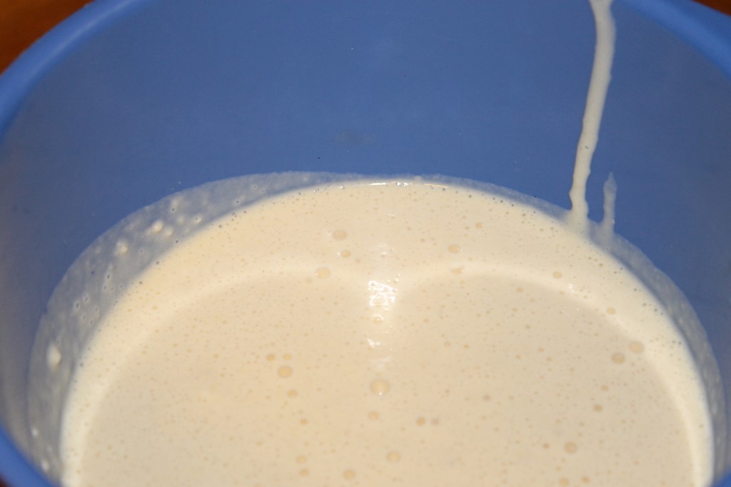 IMG_2577