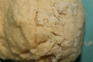 IMG_6449