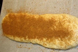 IMG_6451