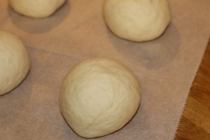 IMG_0239