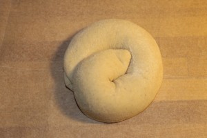 IMG_9384