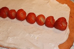 IMG_0477