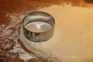 IMG_0529