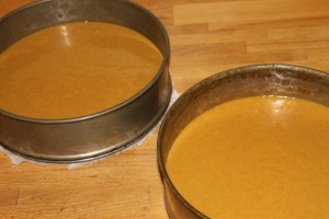 IMG_0610