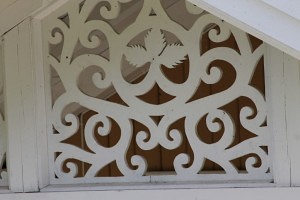 IMG_5318