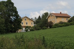 IMG_5335