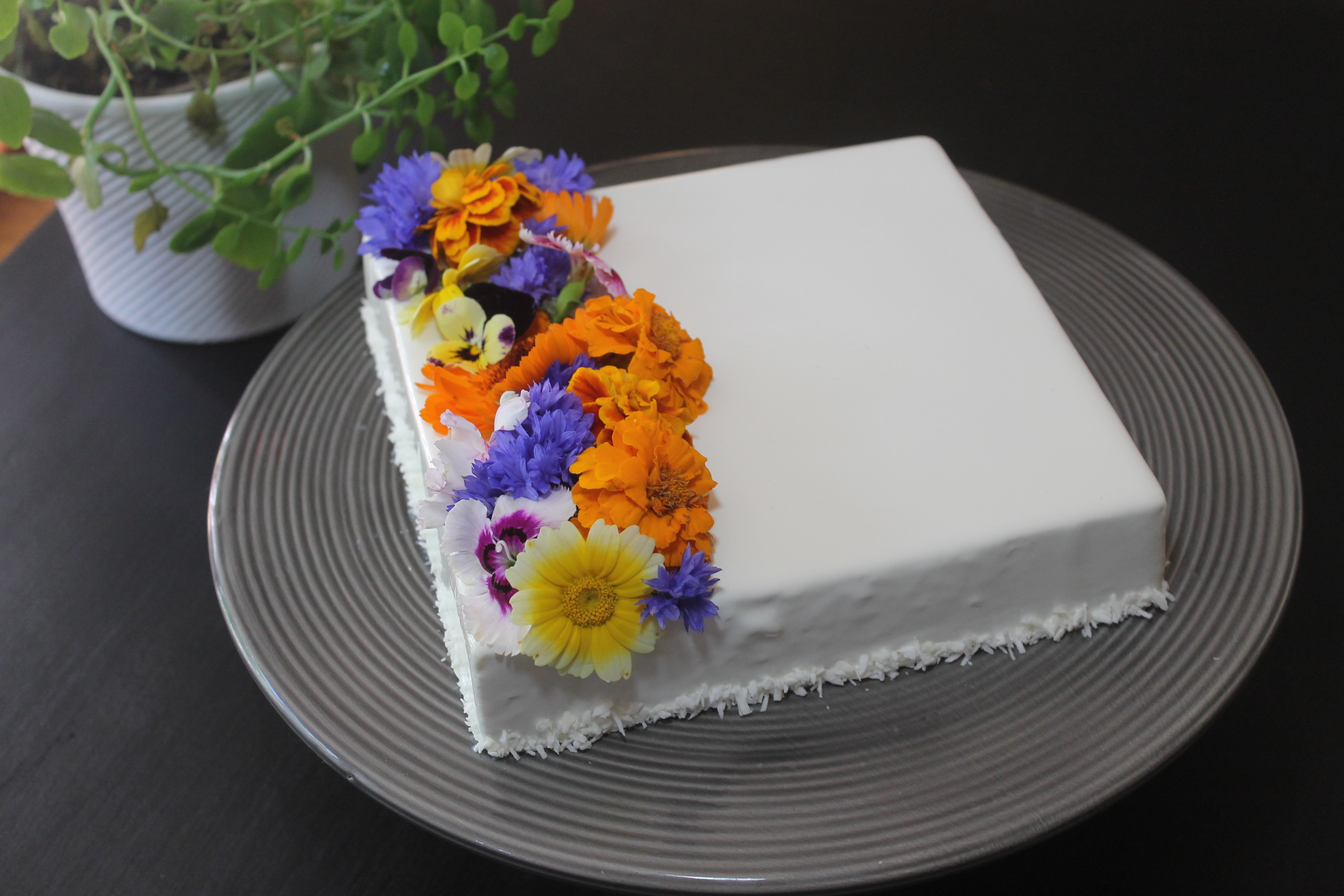 Nyr kake